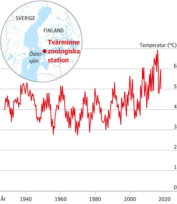 Bottentemperaturen vid finska kusten sedan 1926
