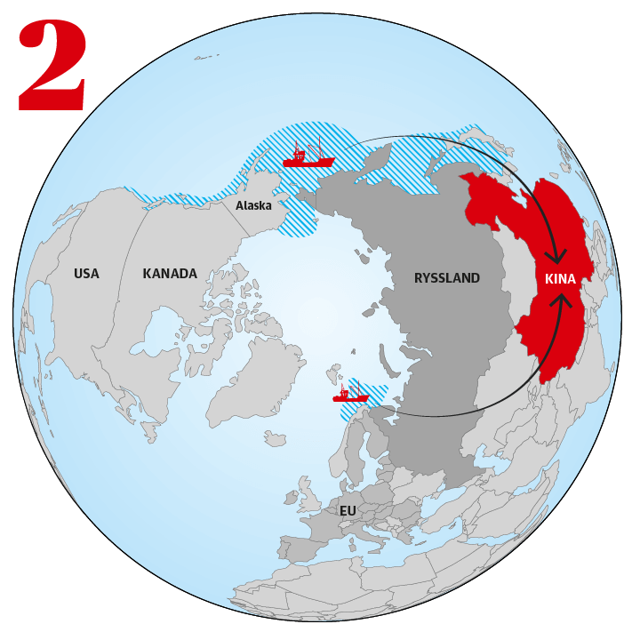 Den lastas ofta om till ett annat fartyg med gare frn ett annat land dr fisken filas, paneras eller bereds p annat stt. Den kan ocks skeppas vidare, ofta till Kina fr vidare beredning.