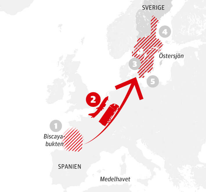 till bland annat Sverige fr tre mnader i karantn. Sedan fraktas de vidare till svenska vatten fr utsttningar och  lodling. 